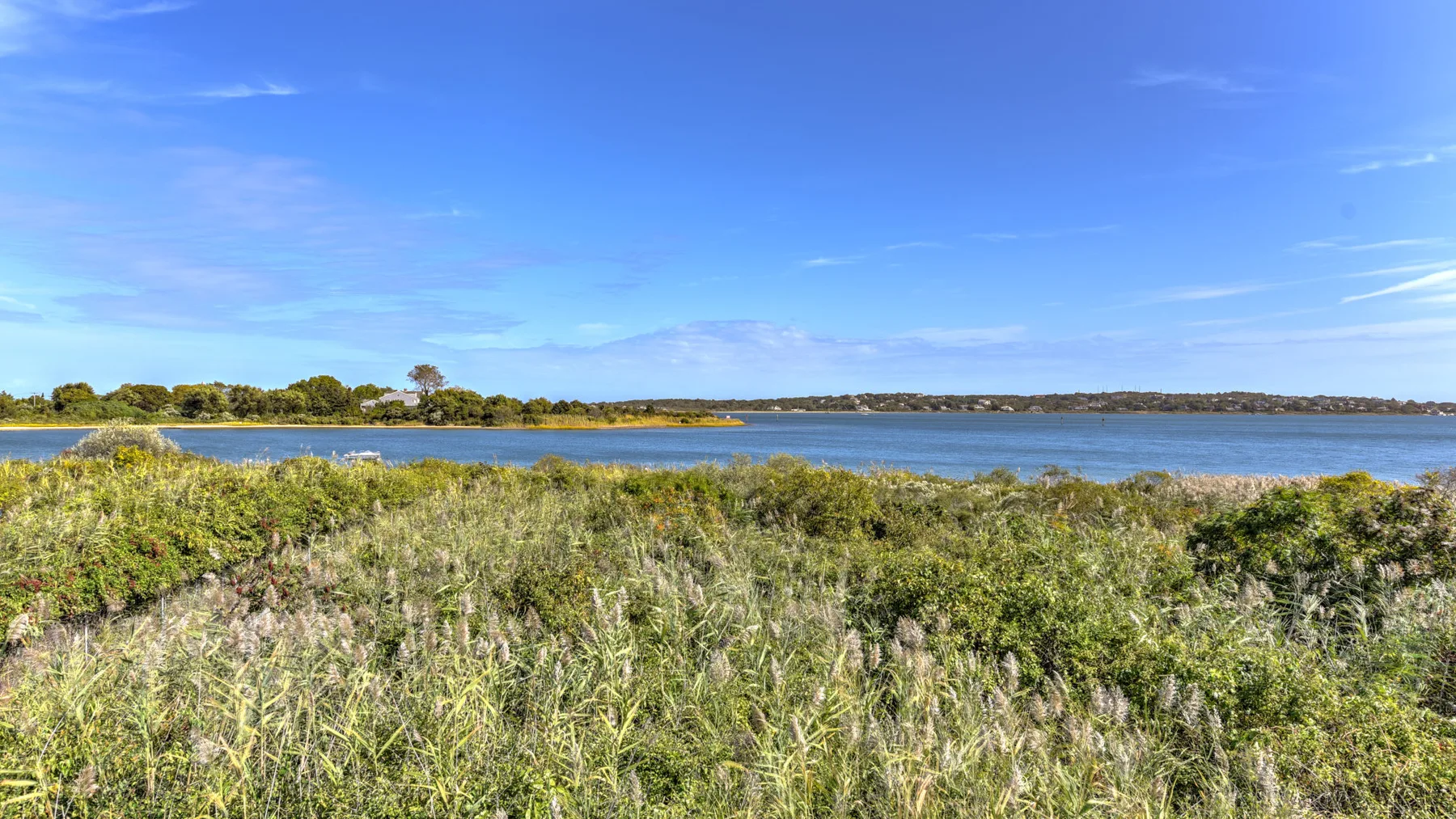 A broad lake stretches beyond a foreground of grassy vegetation under a clear blue sky.