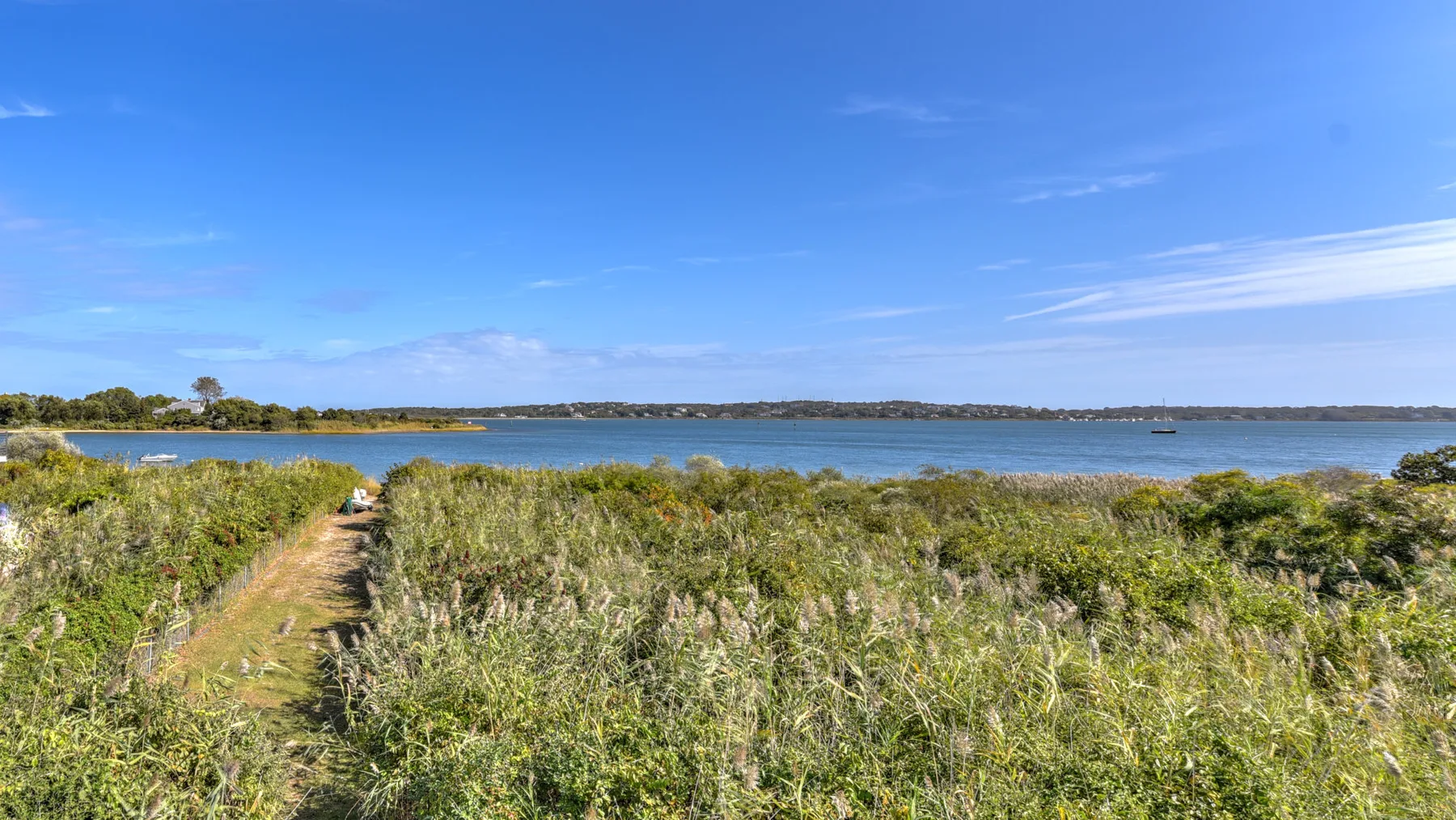 A grassy path runs through coastal vegetation toward a broad body of water.