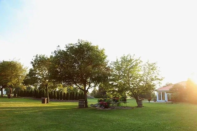 Cherry Pavilion garden