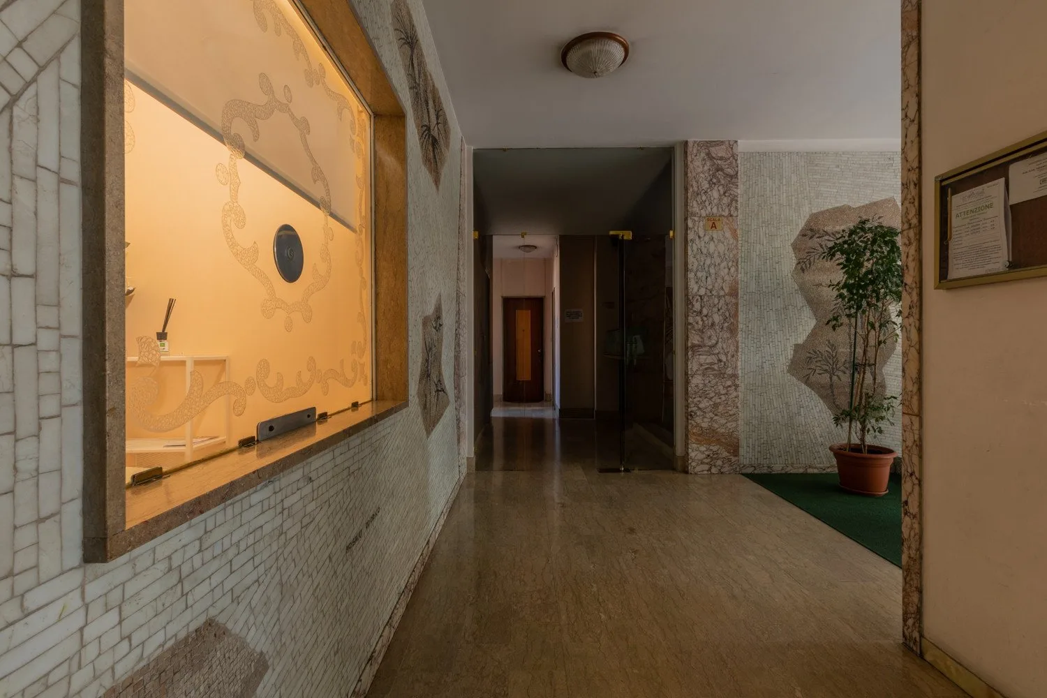 An interior hallway with a large illuminated display window and a potted plant.