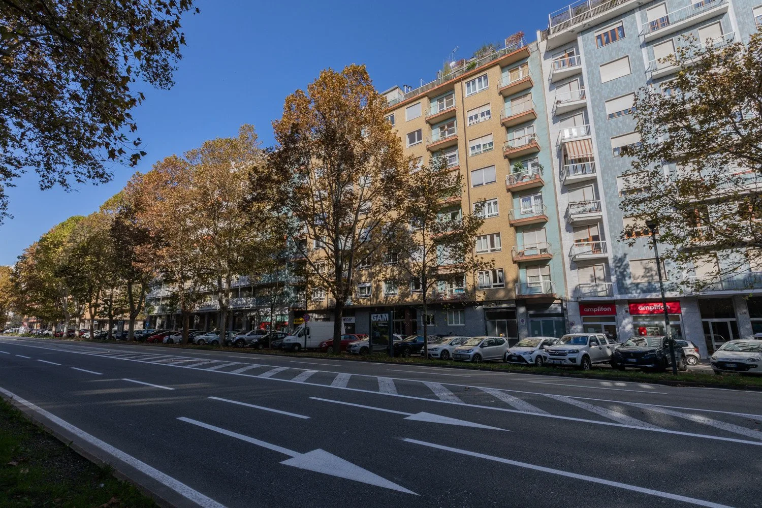 A row of multistory buildings and street-level shops stands along a tree-lined road.