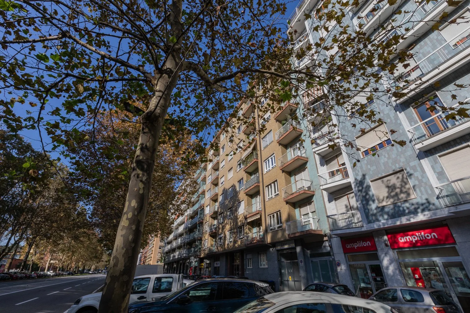 Street scene with apartment buildings, storefronts, parked cars, and trees.