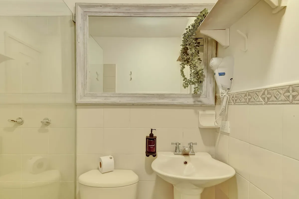 Amazing 2BR in Zona T