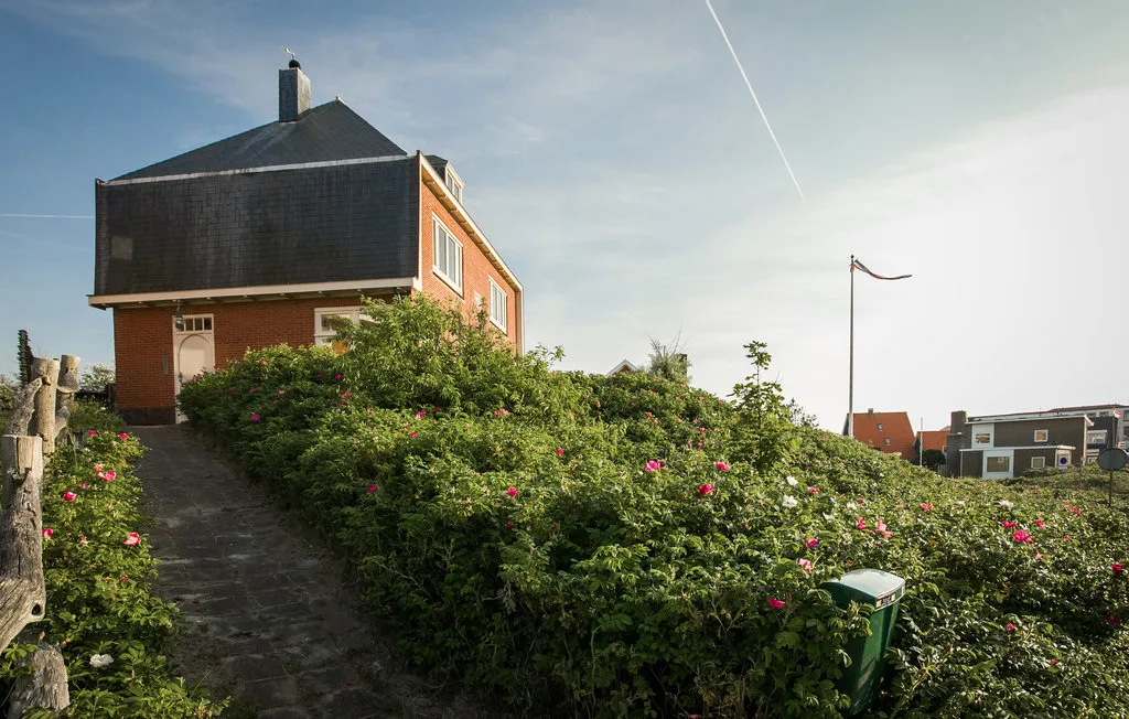 Una casa de ladrillo se encuentra junto a un sendero bordeado de arbustos con flores.