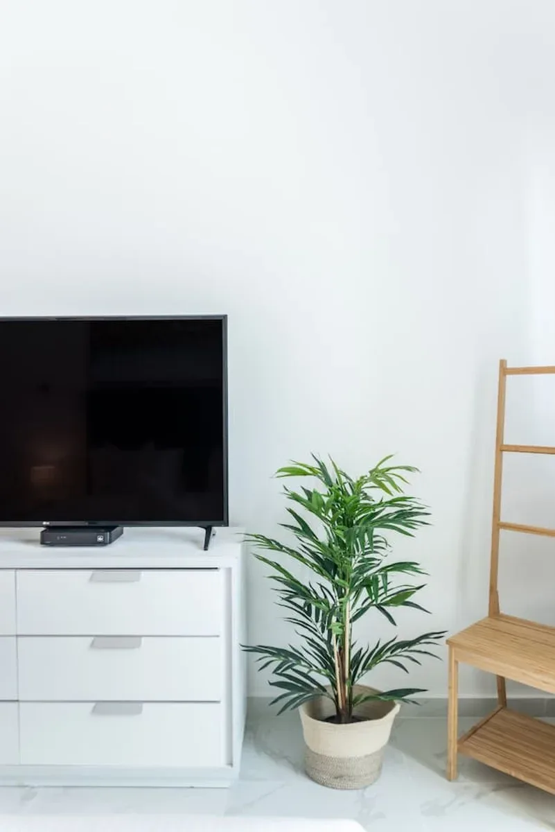 Una habitación luminosa con un televisor sobre un mueble blanco junto a una planta en maceta.