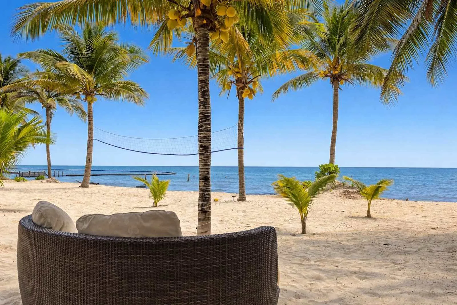 Una playa de arena con palmeras, vistas al mar y una zona de asientos tejidos.
