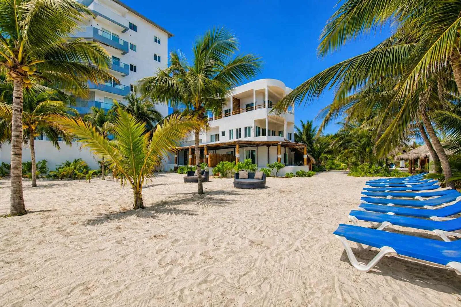 Un edificio junto a la playa está rodeado de palmeras y arena.