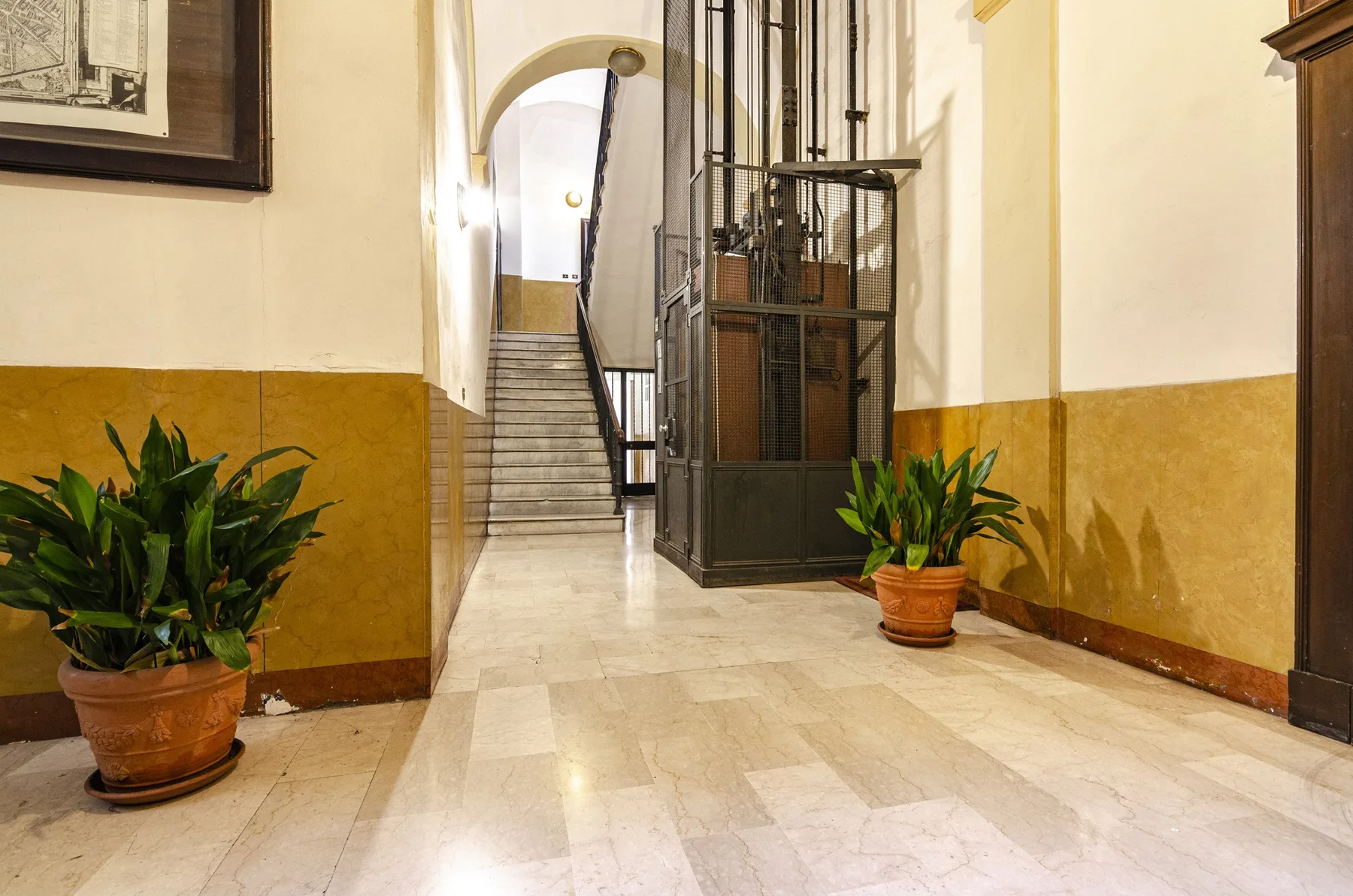 Un pasillo interior luminoso con una escalera y plantas en macetas.