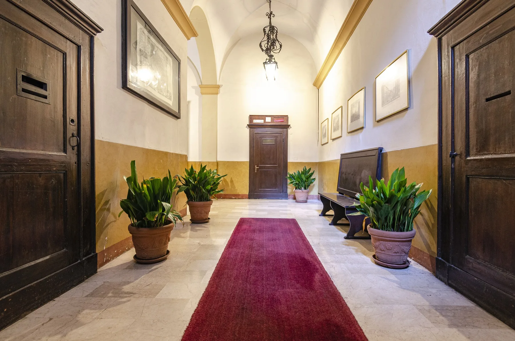 Un pasillo con una alfombra roja, plantas en macetas y puertas de madera oscura.