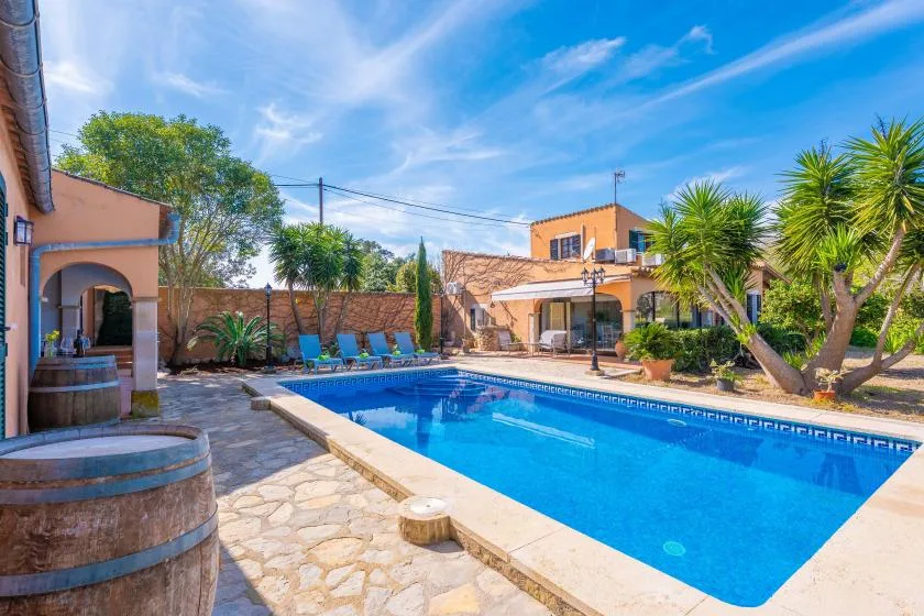 An outdoor swimming pool is surrounded by a stone patio and tropical plants.