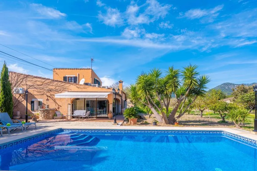 A swimming pool sits in front of a terracotta-colored house and palm-like trees.