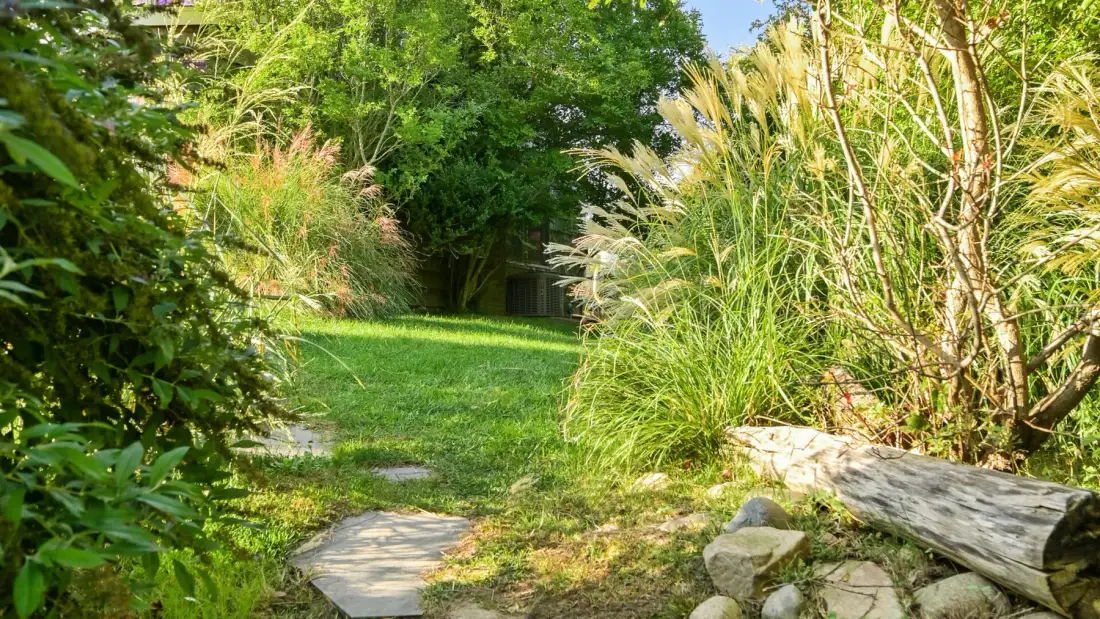 Un sendero de jardín atraviesa una vegetación frondosa junto a hierbas ornamentales altas.