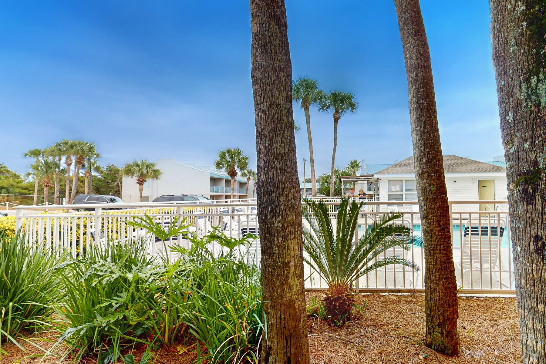 A landscaped outdoor area overlooks a swimming pool and nearby buildings.