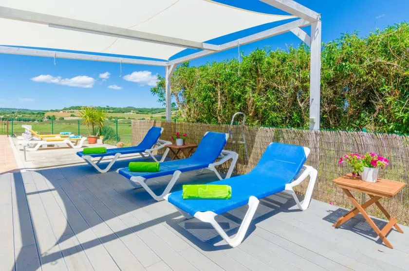 A sunny outdoor patio with blue lounge seating, a pergola, and potted flowers.