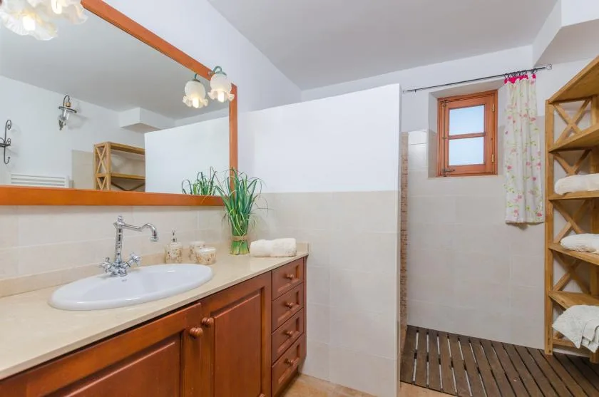 A bathroom vanity with a sink and mirror stands beside a tiled shower area.