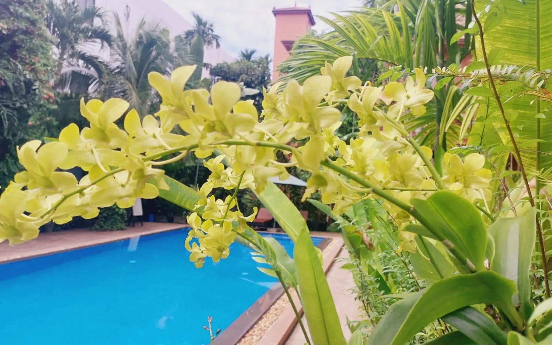 Foto del hotel