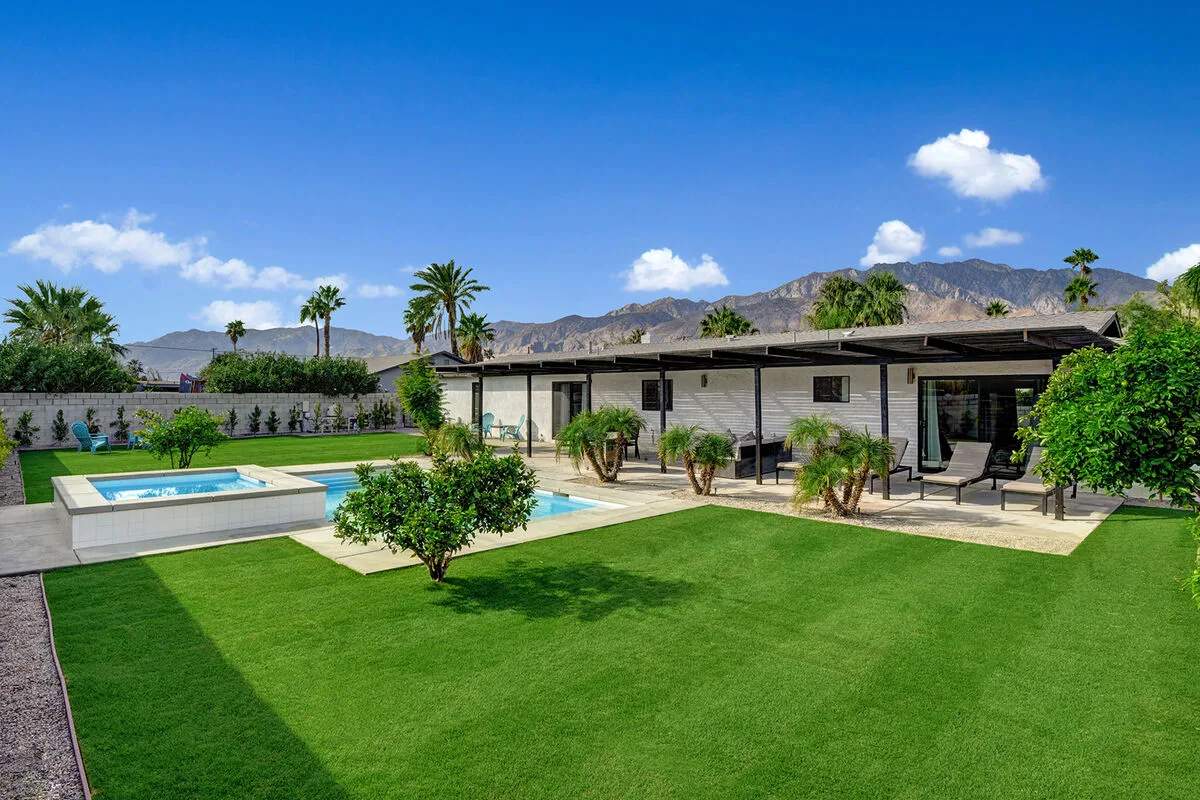 Peaceful Palms