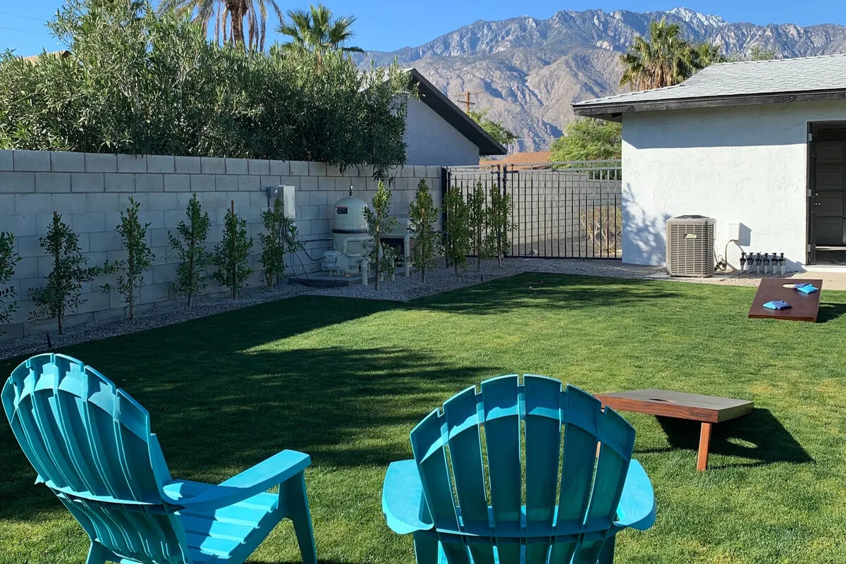 Peaceful Palms
