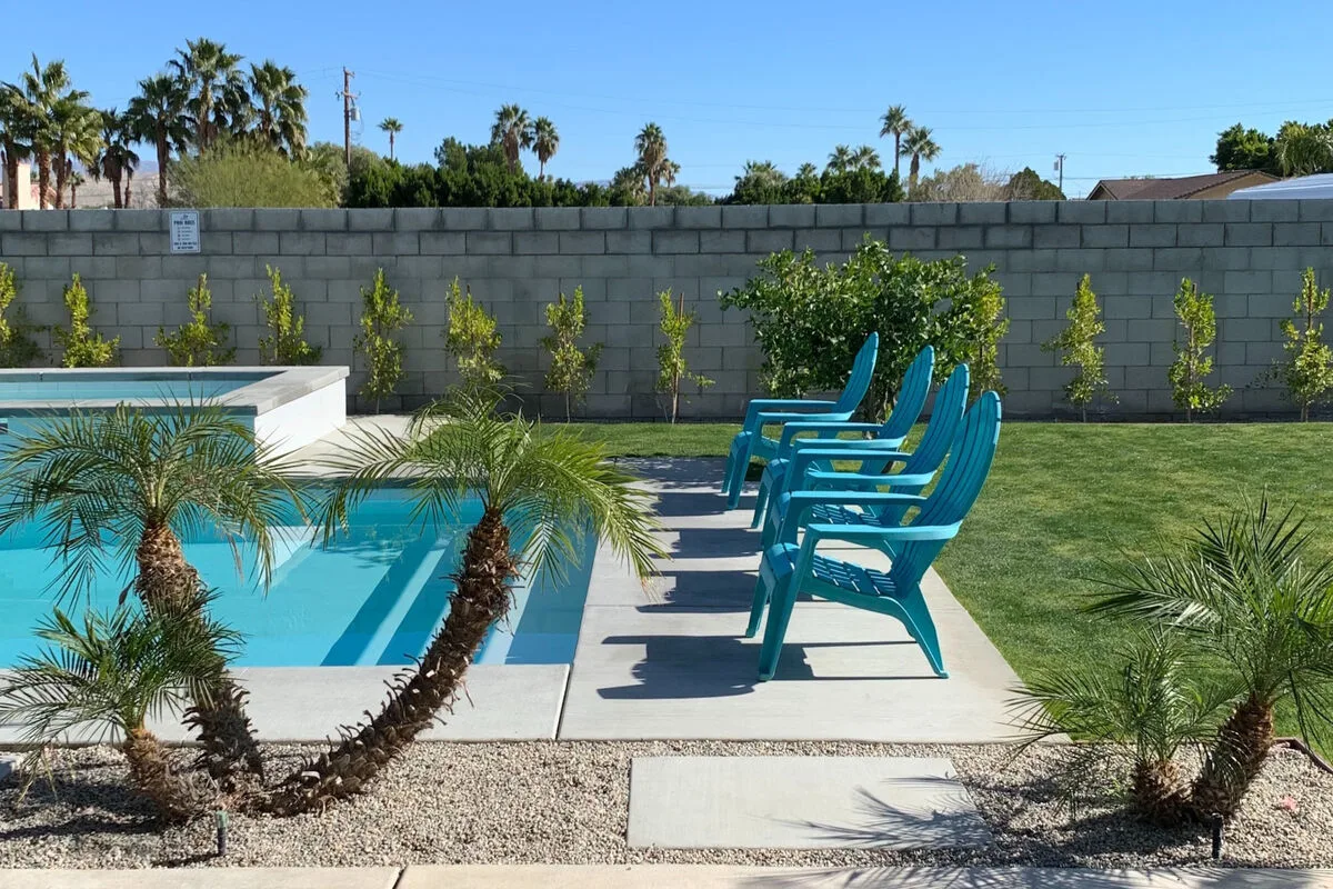 Peaceful Palms