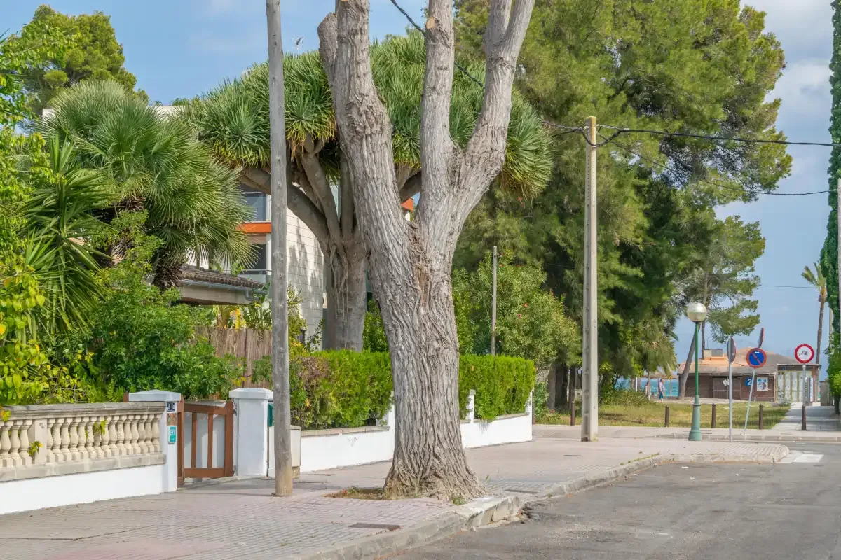 Una calle residencial arbolada con acera y muros de jardín.