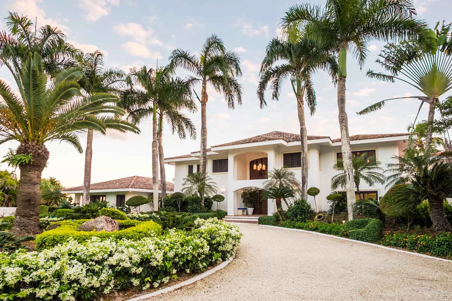A white house stands behind palm trees and landscaped greenery along a curved driveway.