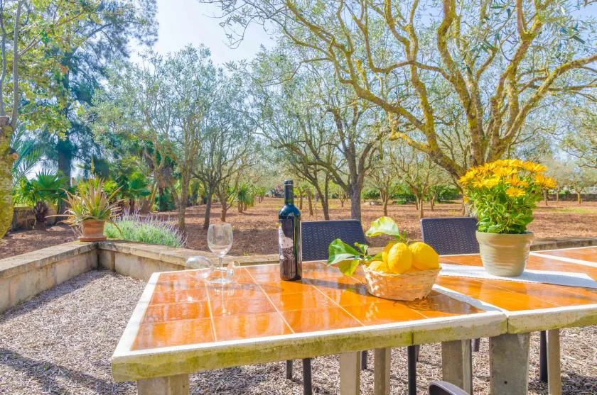 Una mesa de patio exterior tiene una botella, una copa y un cuenco de fruta bajo los árboles.