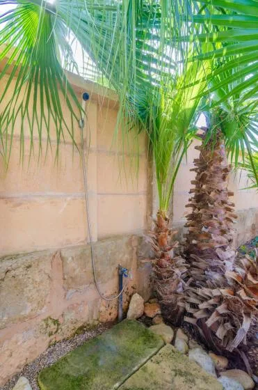 Una ducha exterior junto a palmeras y un muro de piedra.