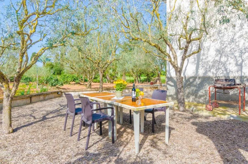 Una zona de comedor al aire libre con una mesa y asientos bajo árboles frondosos.