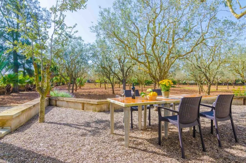 Una zona de comedor al aire libre con mesa y asientos bajo los árboles.