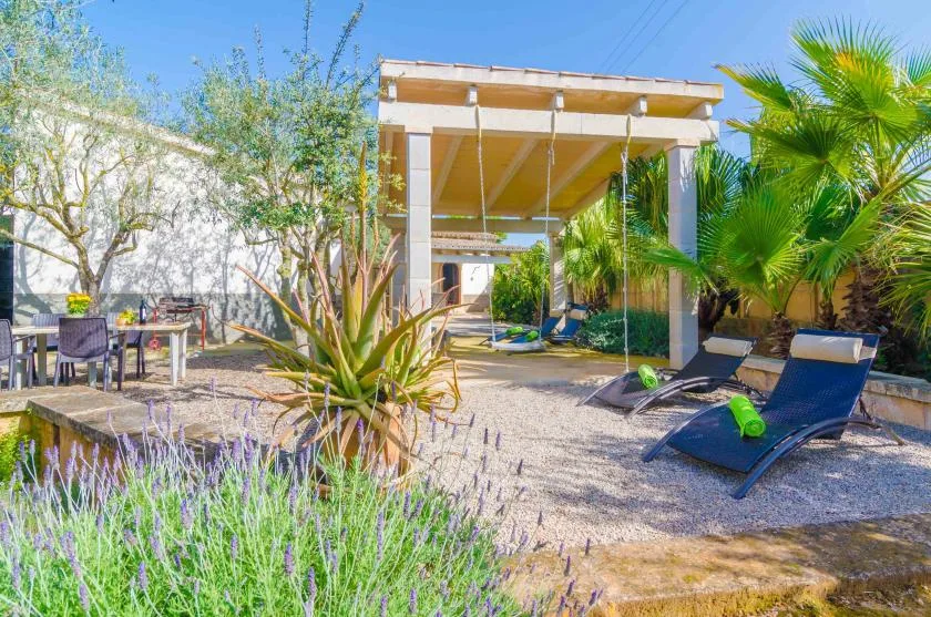 An outdoor patio with lounge seating, palm trees, and a covered pergola.