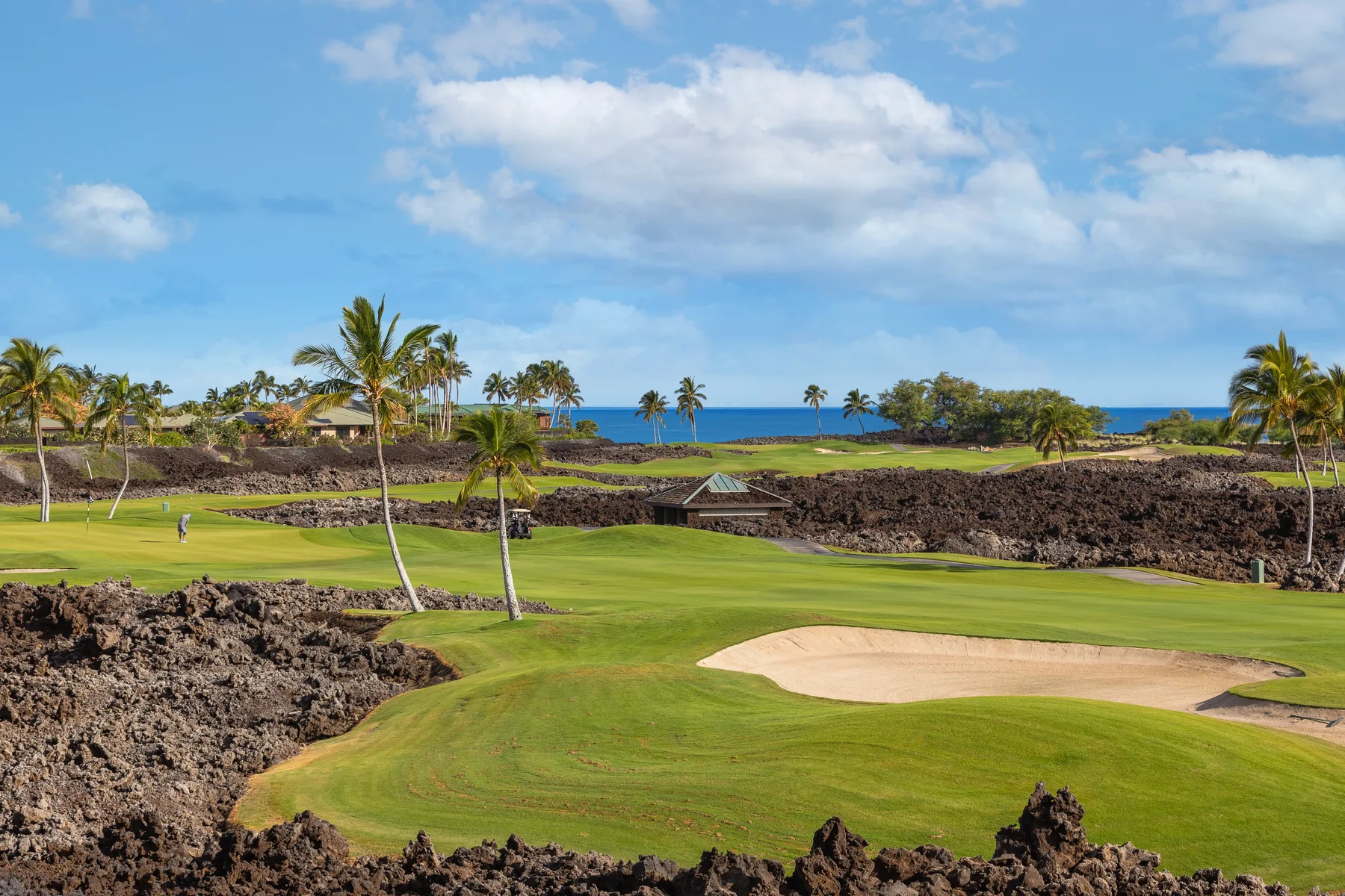 A golf course green and sand bunker sit among rocky terrain, with palm trees and ocean beyond.