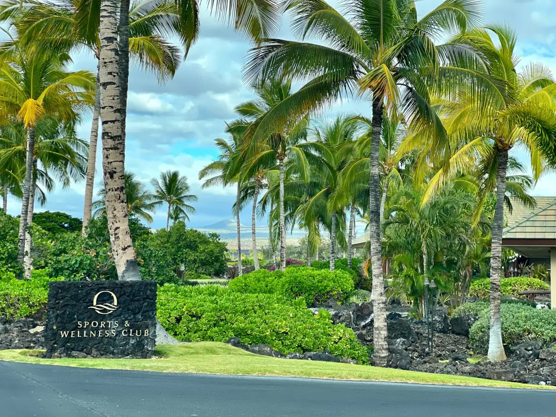 A tropical resort entrance with palm trees, lush greenery, and a stone sign.