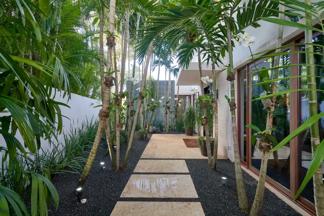 A garden walkway lined with tropical plants leads past a glass doorway.
