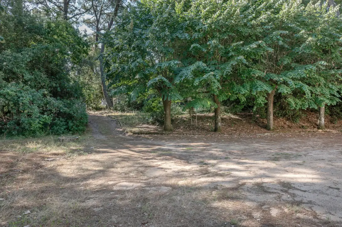 Property gallery photo