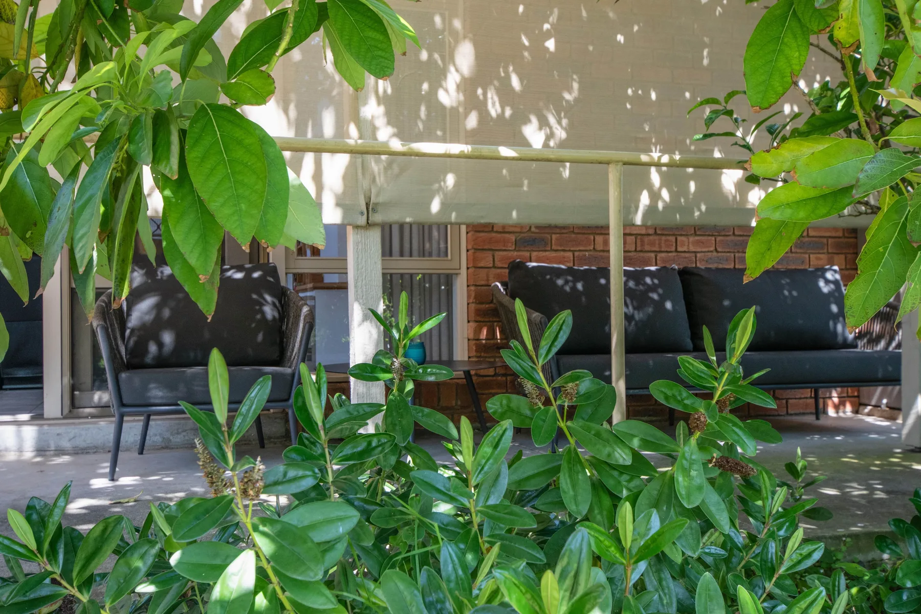 Una zona de asientos al aire libre queda detrás de plantas frondosas.