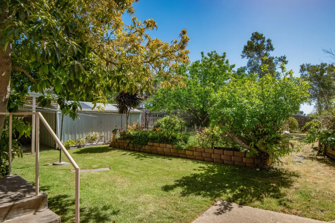 Un jardín ajardinado con césped, árboles y jardineras elevadas.