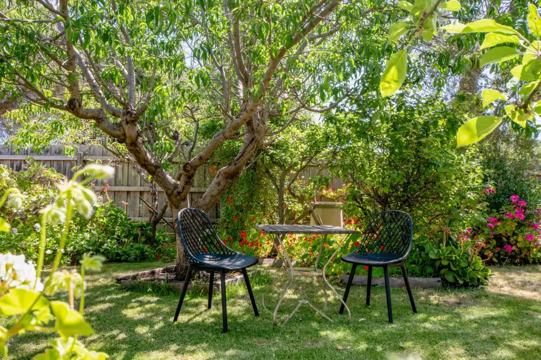 Una zona de asientos en un jardín está bajo un árbol frondoso, rodeada de plantas con flores.