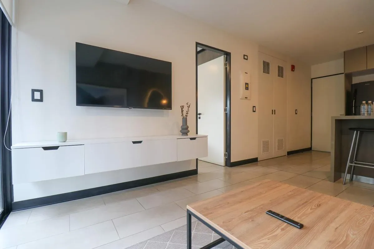 Splendid 1BR in San Isidro