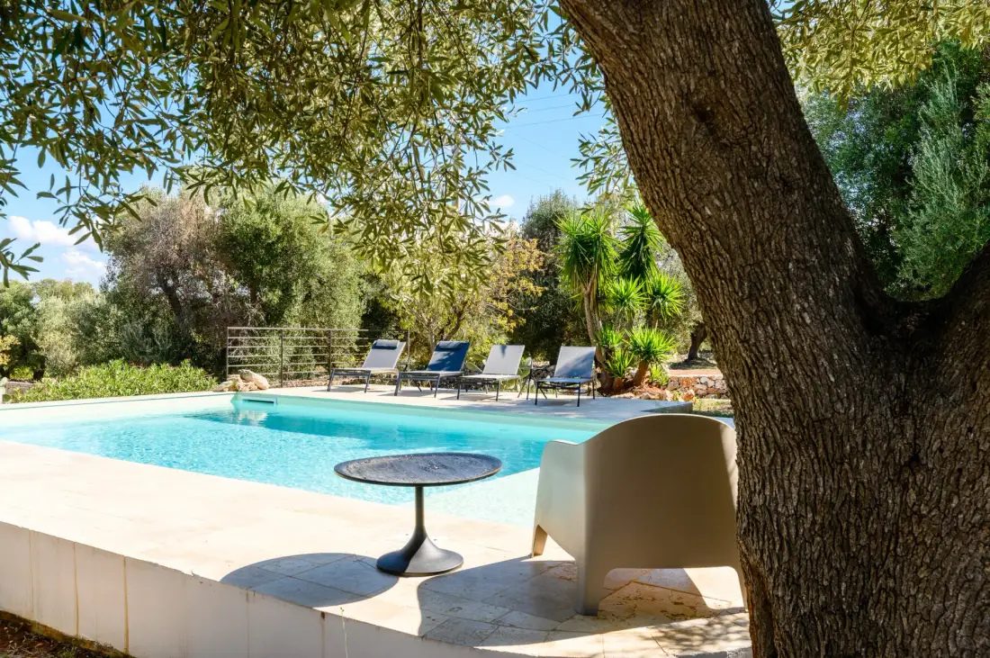 Outdoor poolside seating beside a swimming pool, shaded by a large tree.