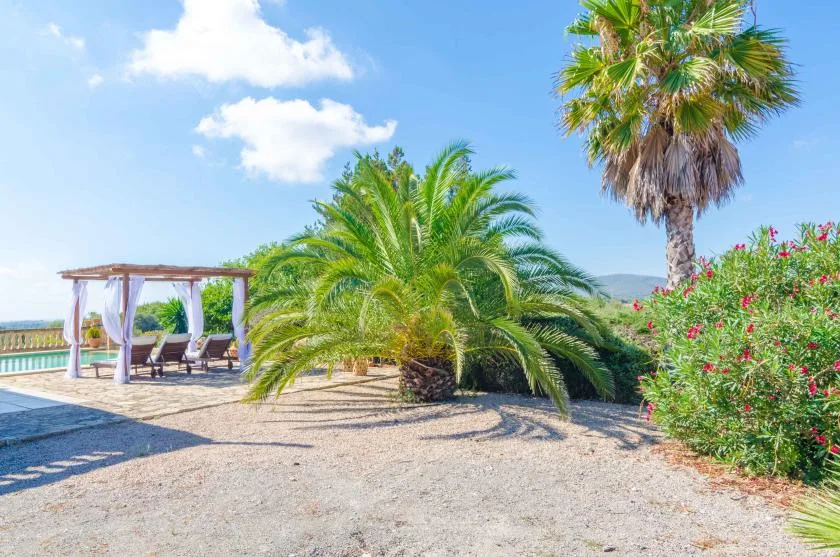 Una zona ajardinada al aire libre con palmeras, arbustos floridos y una estructura de sombra con asientos.