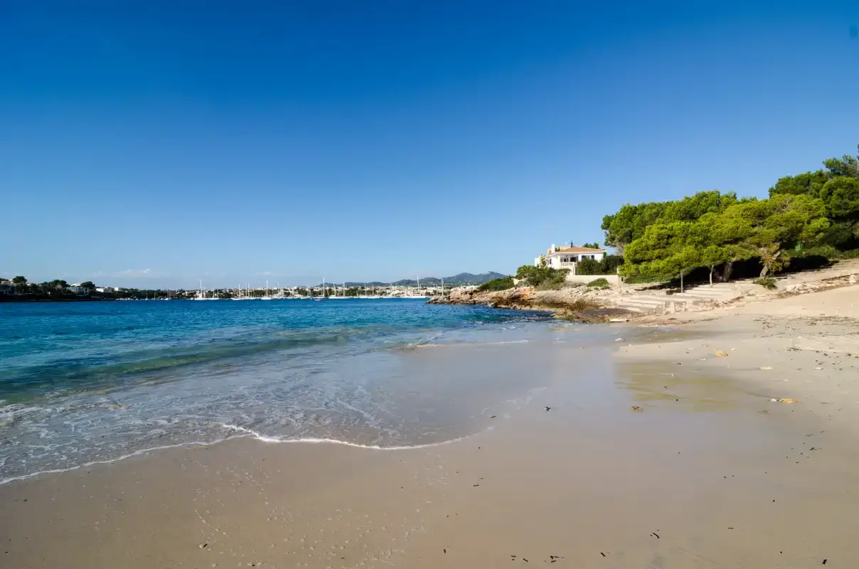 Una playa de arena junto a aguas azules y una orilla arbolada.