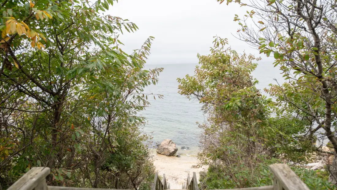 A sandy path leads through coastal trees to the water.