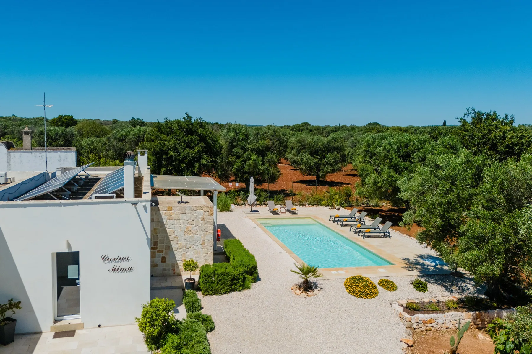 An outdoor swimming pool sits beside a white building, with trees beyond.