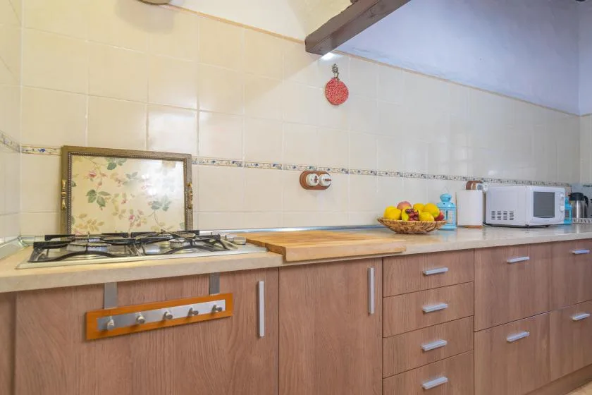 Una encimera de cocina con una placa de cocción, un frutero y pequeños electrodomésticos.