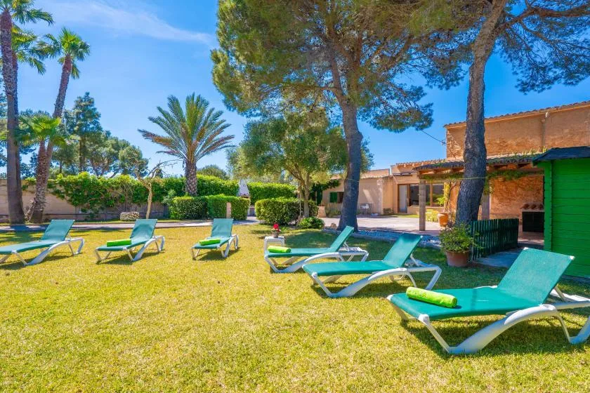A grassy outdoor seating area with several loungers beneath trees.