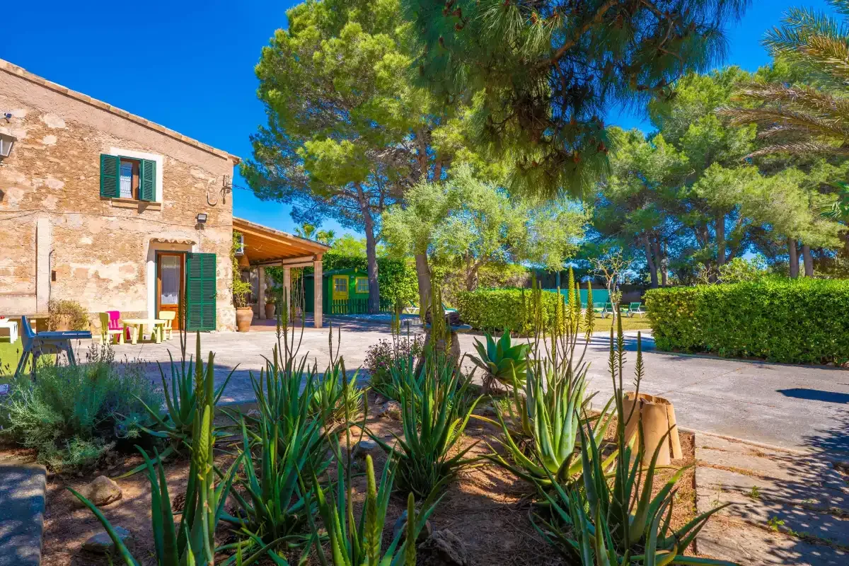 A stone house and paved patio sit beside leafy trees and garden plants.