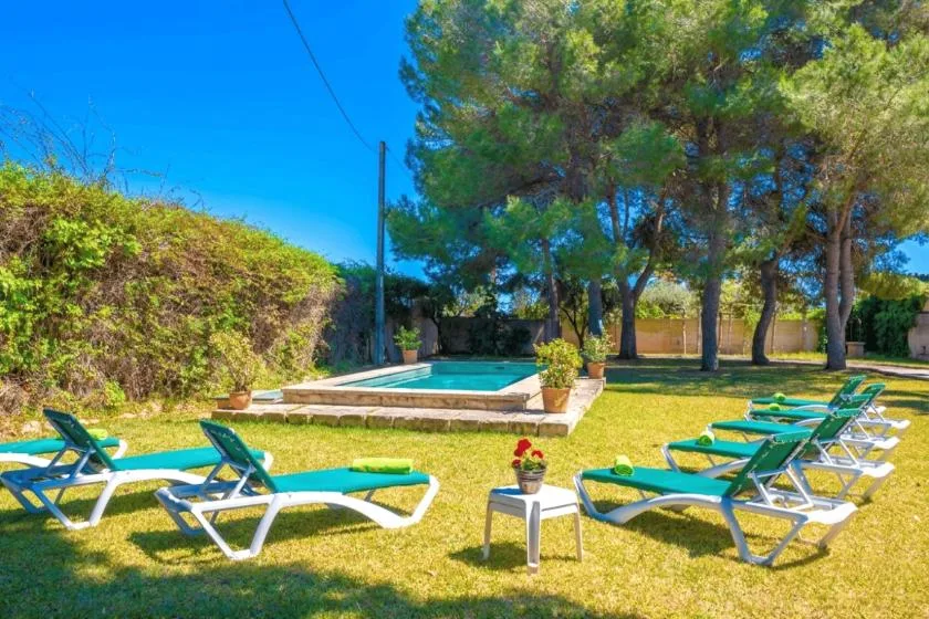 Un jardín soleado con una piscina pequeña, árboles y tumbonas reclinables.