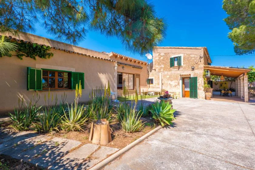 A sunny courtyard with a stone building, green shutters, and planted landscaping.