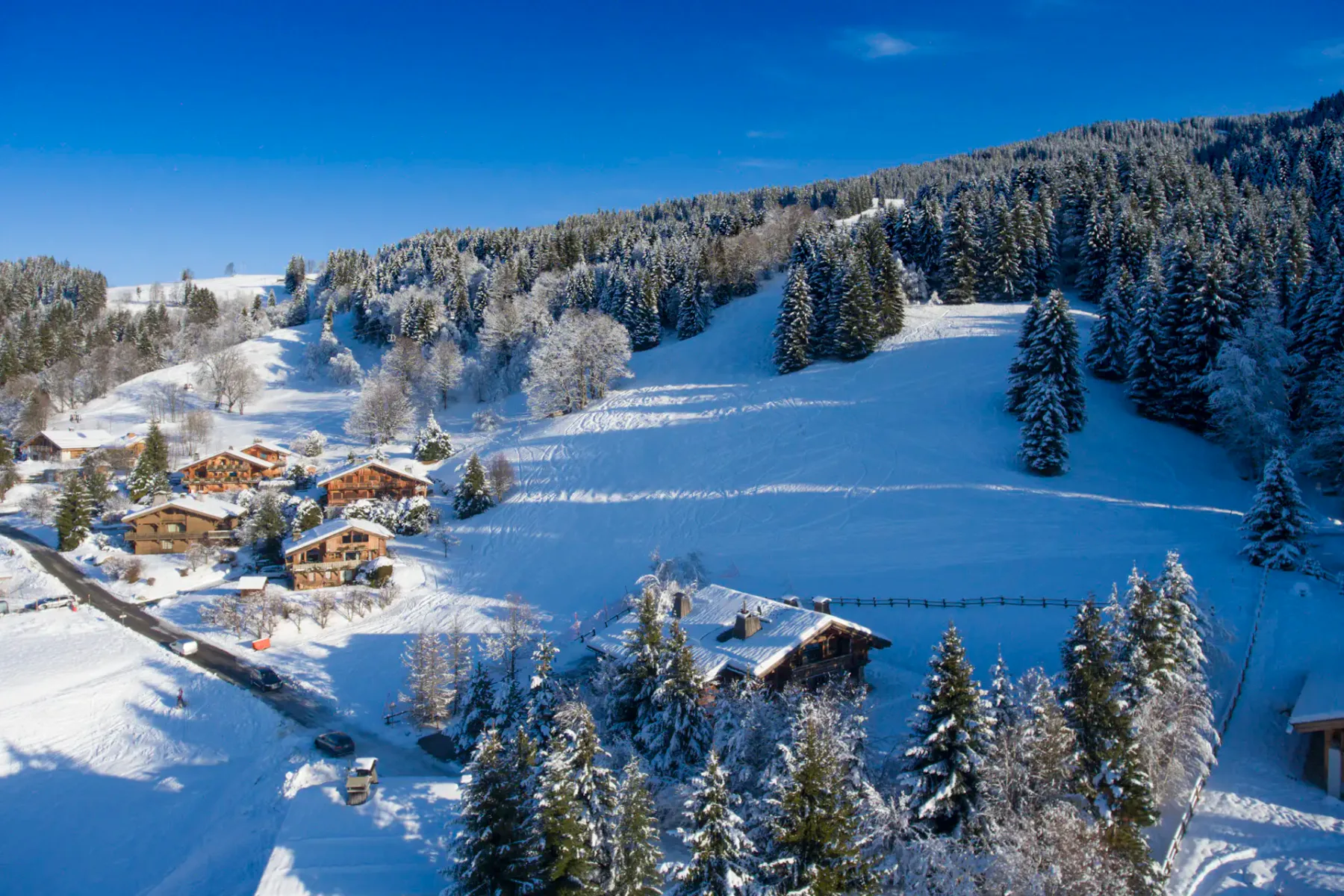 Chalet Zebrano