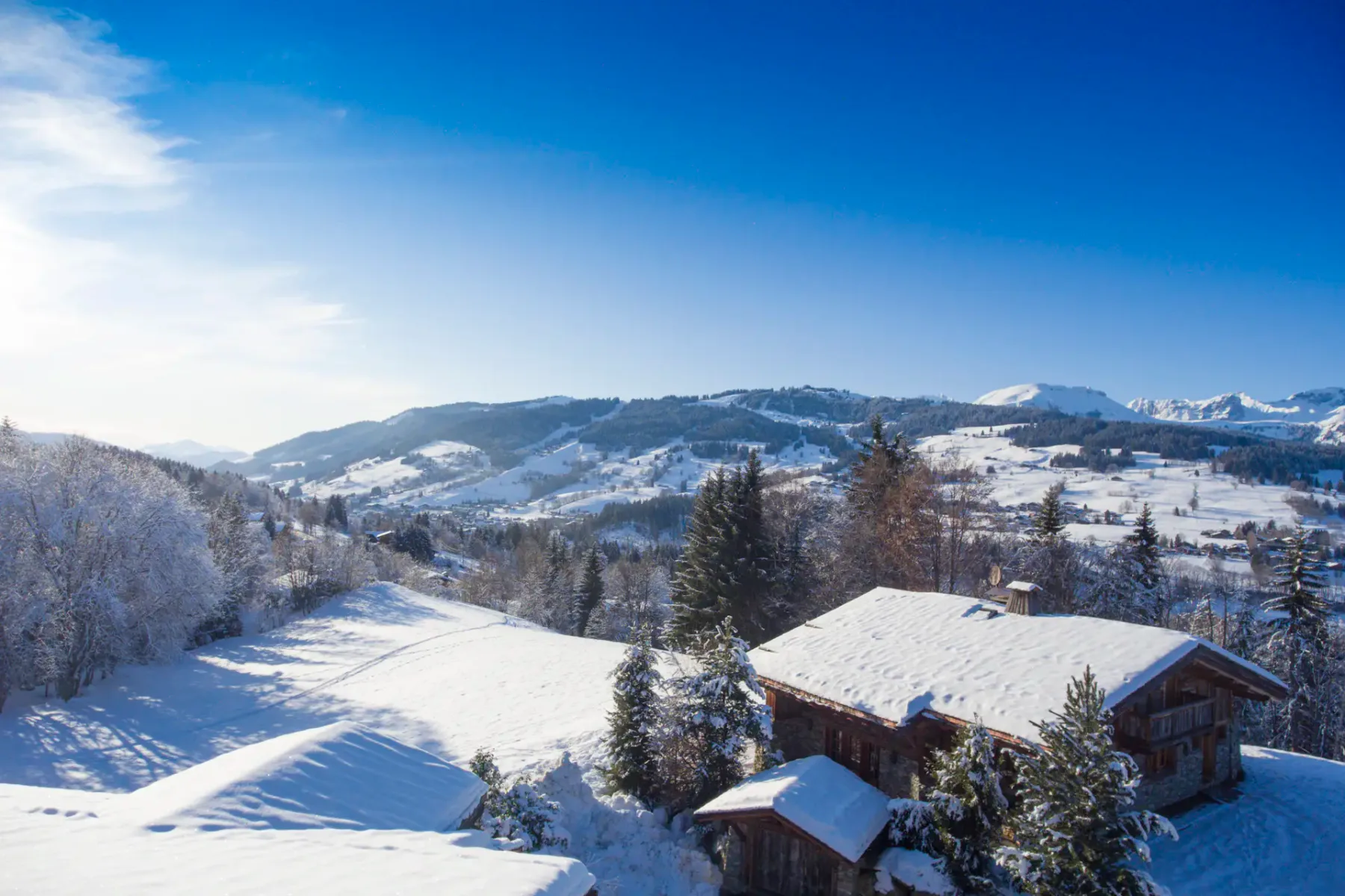 Chalet Zebrano
